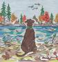 Fall Observer  SWB161