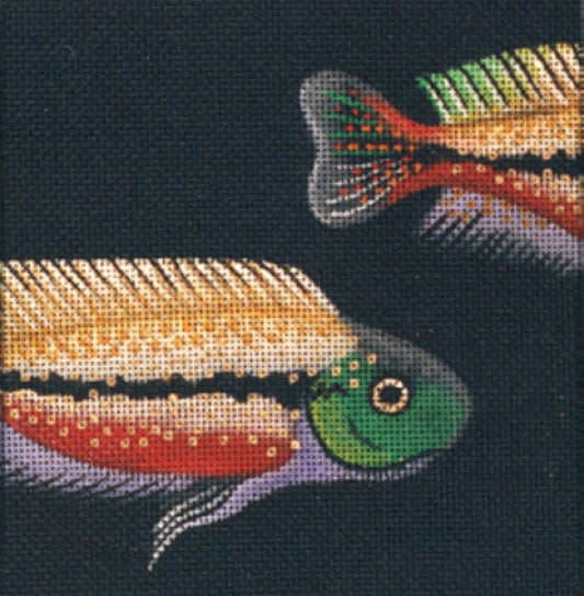 Cichlasoma  LD-4305