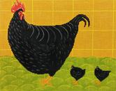 Dixie’S Chicks  WK2101