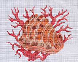 Helmet Shell w/ Coral PL-281