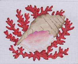 Conch Shell w/ Coral PL-283