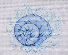 Moon Snail Shell w/ Coral – All In Shades Of Blue PL-380