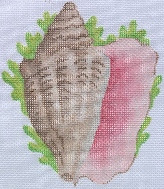 Tropical Mini – Conch Shell w/ Seaweed OM-81