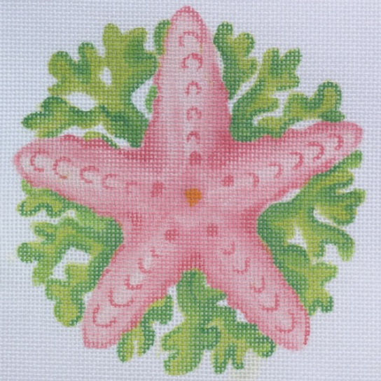 Tropical Mini – Starfish w/ Seaweed OM-91