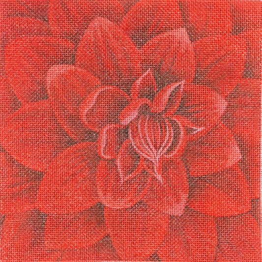 Claret Dahlia  LD-6903