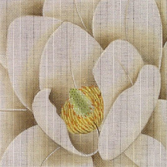 White Magnolia  LD-6907