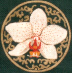 Miami Shores Orchid Coaster  LD-7033