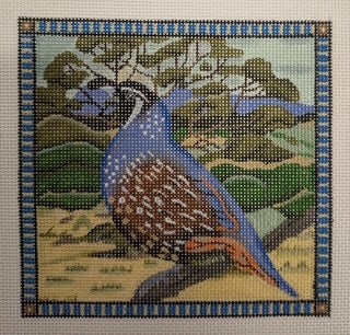 Quail 149SS