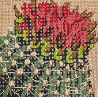 Cactus Flower