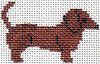 Animal: Dachshund PT812