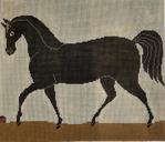 Prancing Horse  WK2082