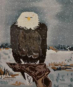 Bald Eagle  KAA9007