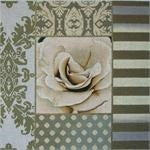 Champagne Collage 967