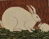 Hare’S Heir  WK2102