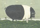 Black And White Pig  WK2030