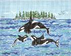 Orca Family  SWB141