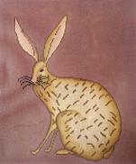 Jack Rabbit  WK2081