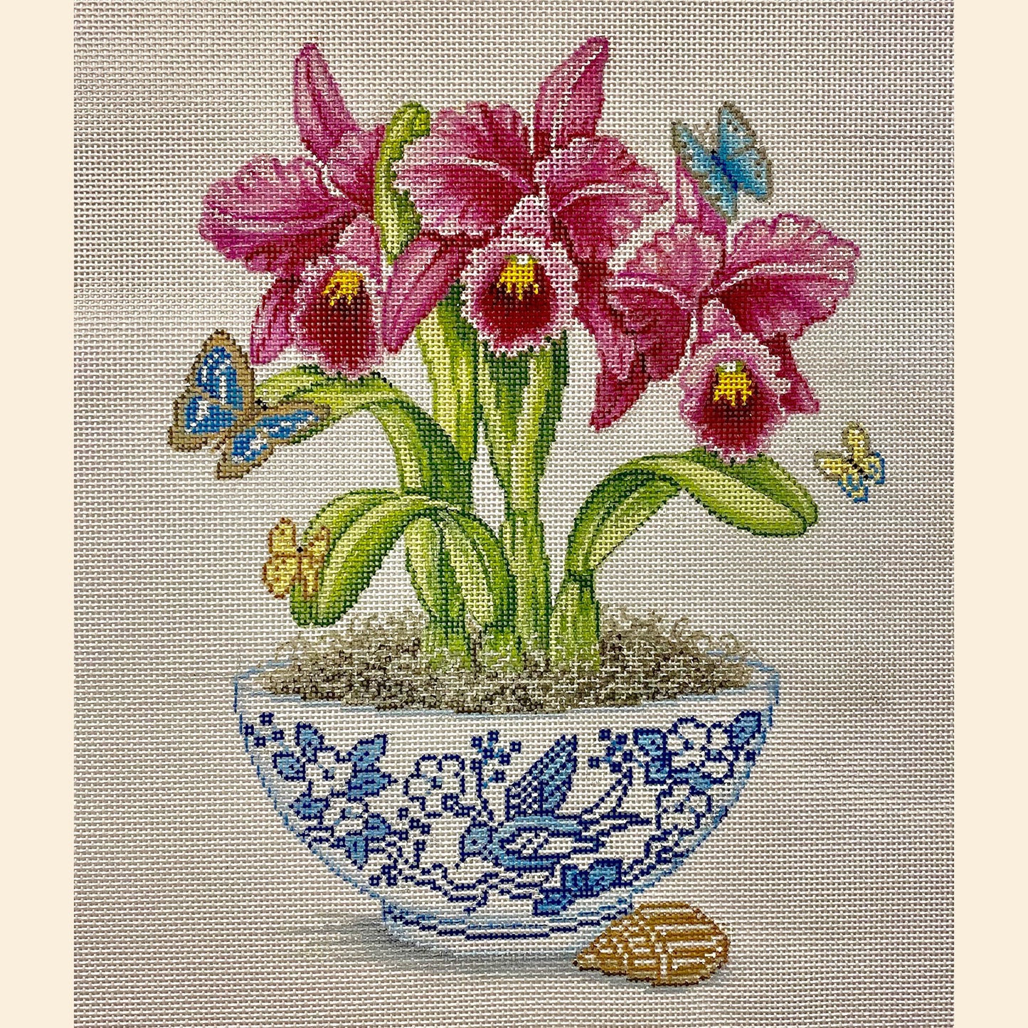 Fuschia Orchids In Vase 4252