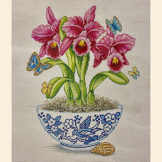 Fuschia Orchids In Vase 4252