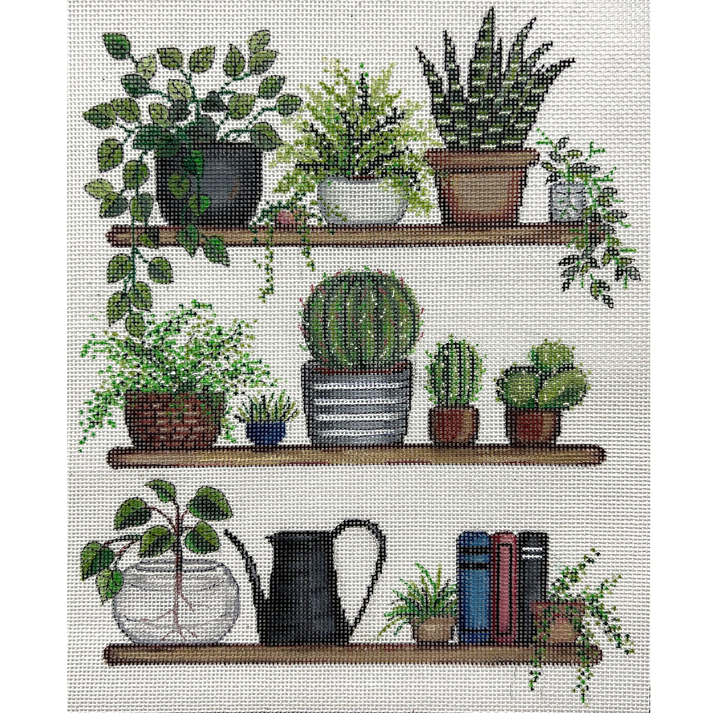 Plants, Plants,Plants 4427