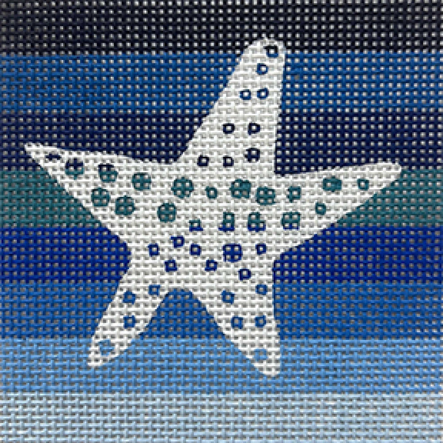 Starfish 4473