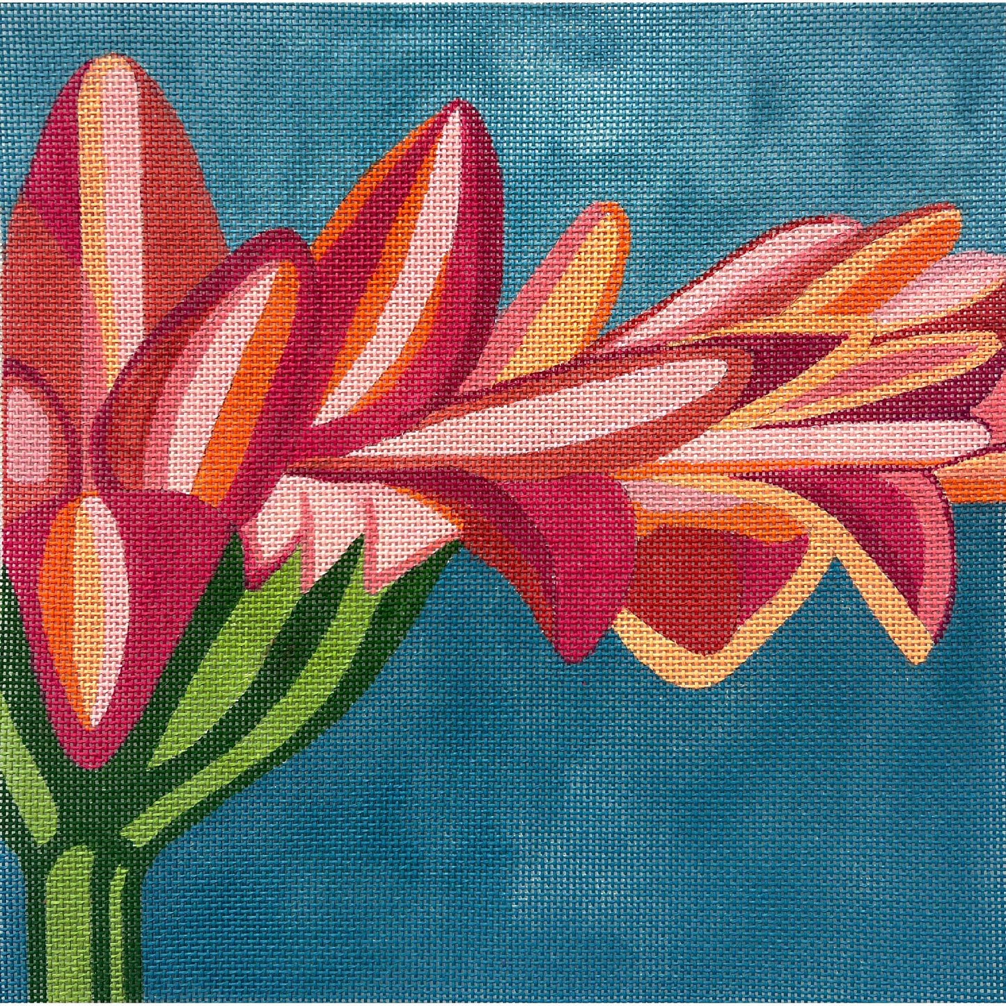Orange Gerber Daisy 4594
