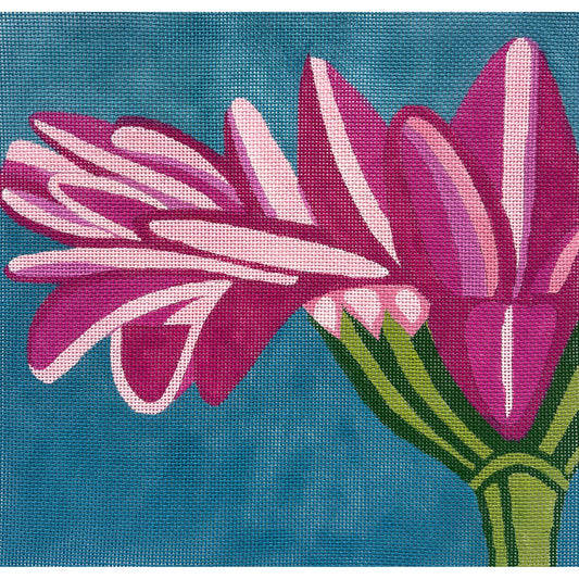 Pink Gerber Daisy 4596