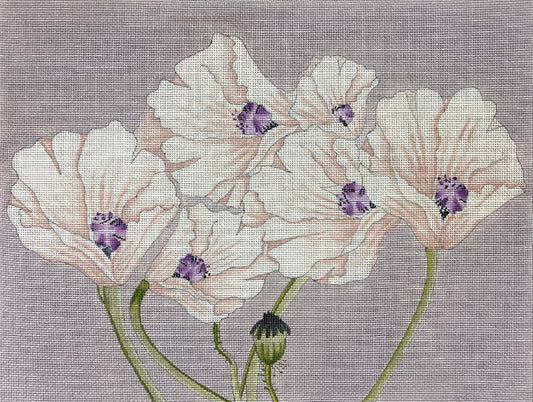 Purple Poppies 4662