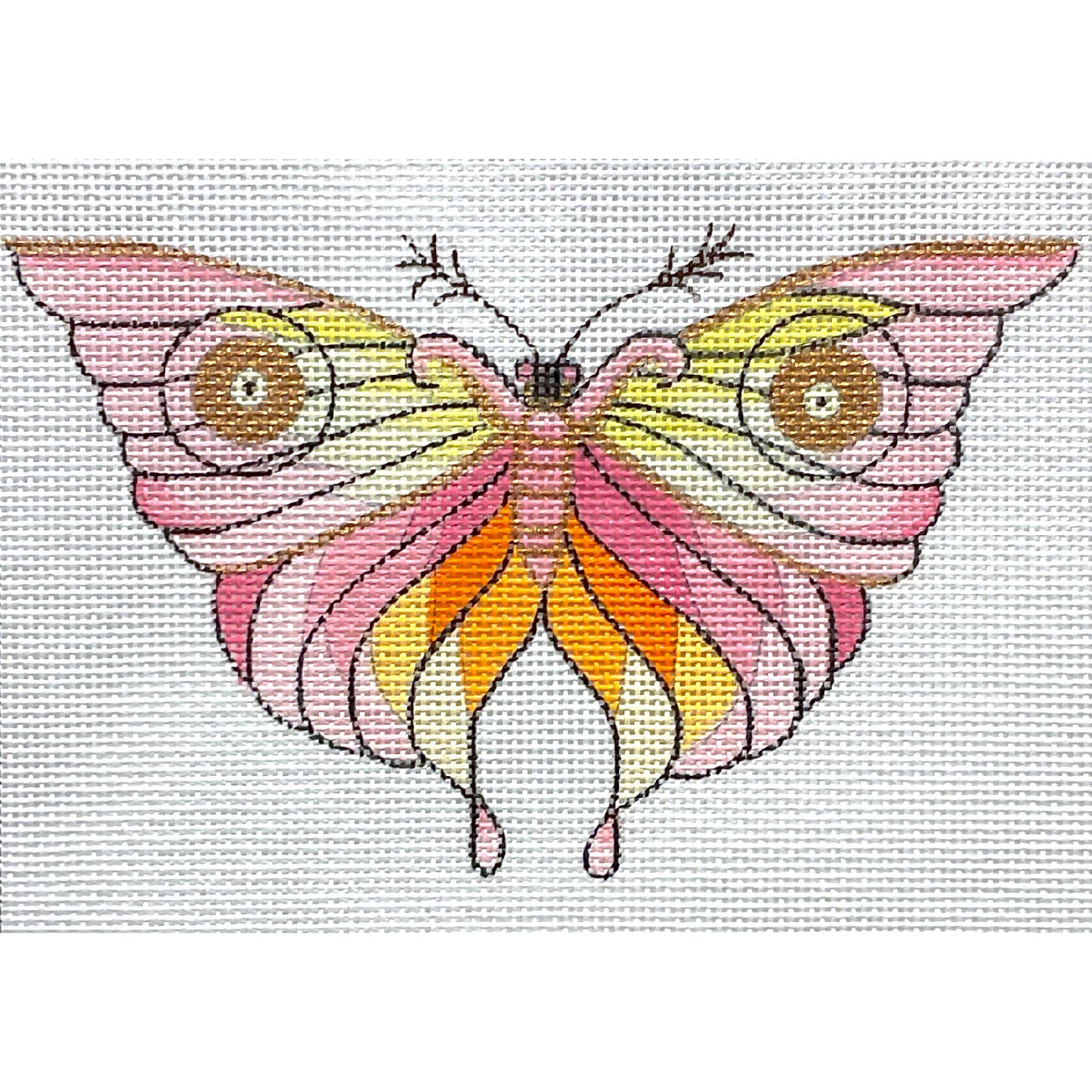 Colorful Moth 4789