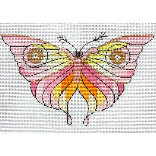 Colorful Moth 4789