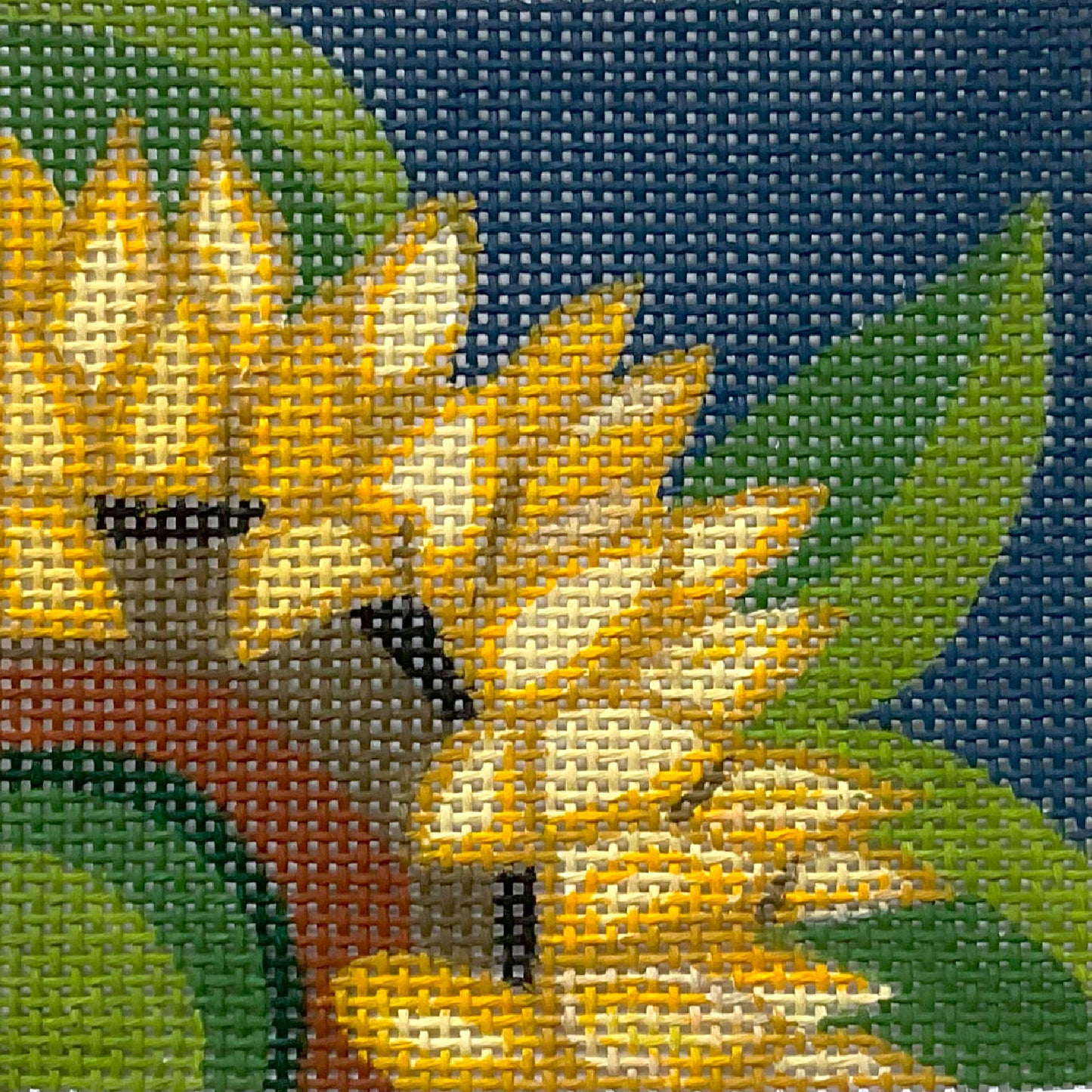 Sunflower 4803
