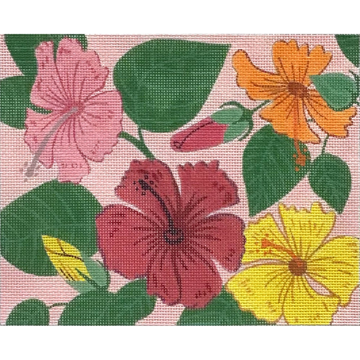 Hibiscus On Pink 4831