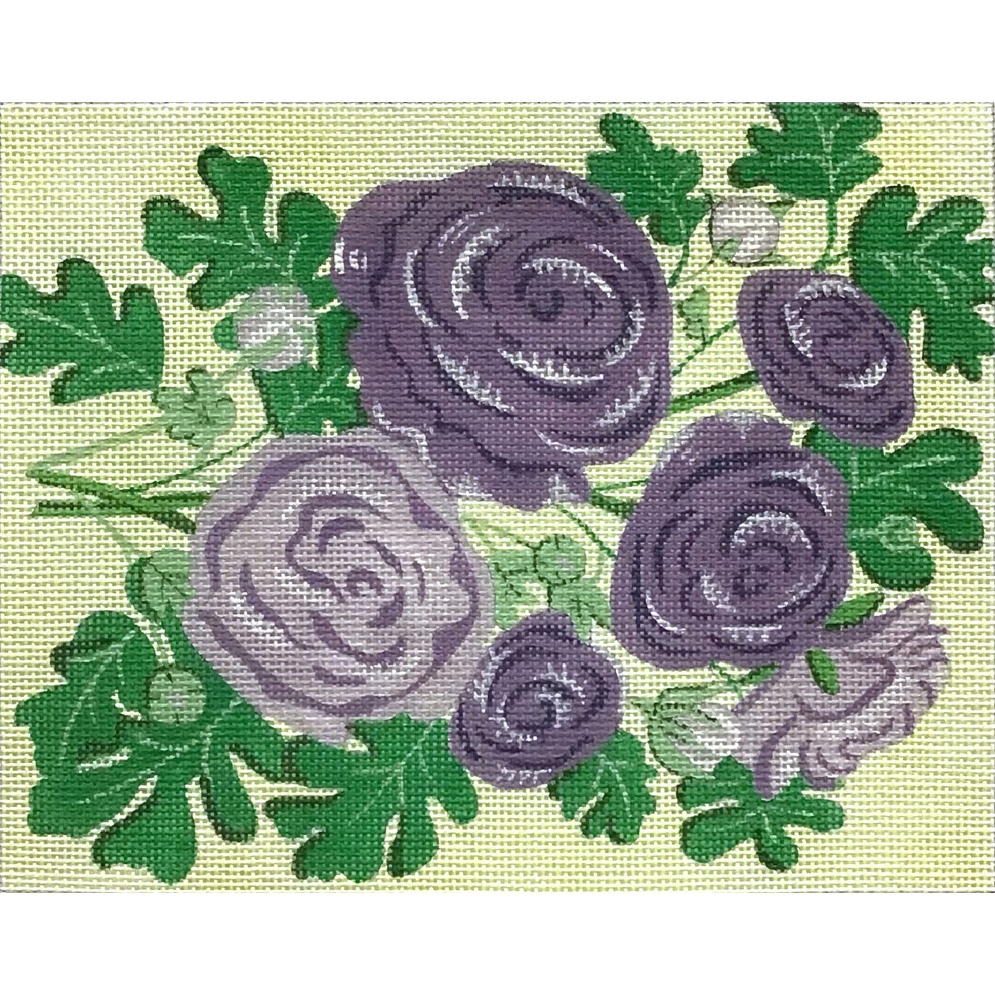Purple Ranunculus 4832