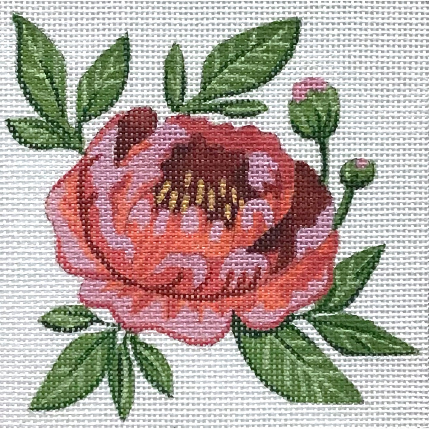 Single Red Peony 4839