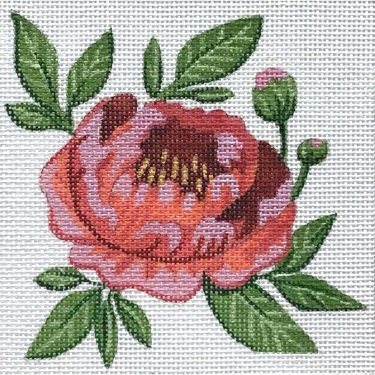Single Red Peony 4839