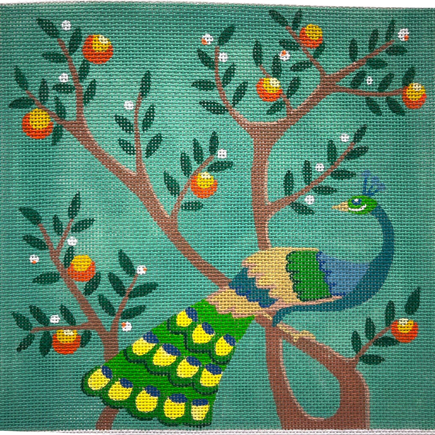 Peacock And Oranges 4913