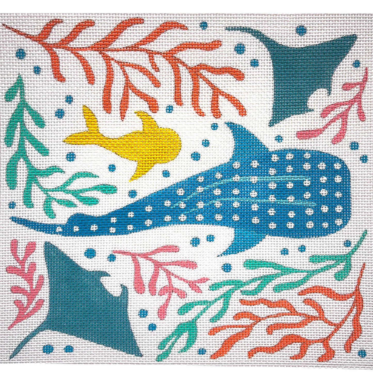Sea Life And Seweed 4914