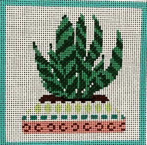 Cactus Series - Succulent BP-48