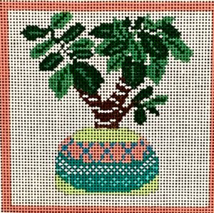 Cactus Series - Agave BP-51