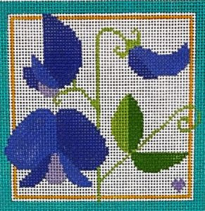 Sweet Pea BP-63