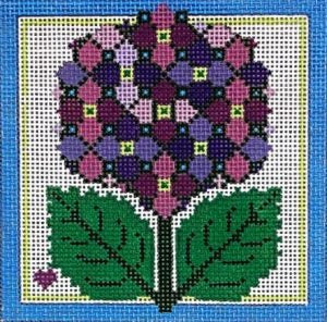 Hydrangea BP-65