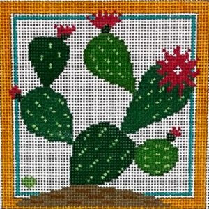 Prickly Pear Cactus BP-68