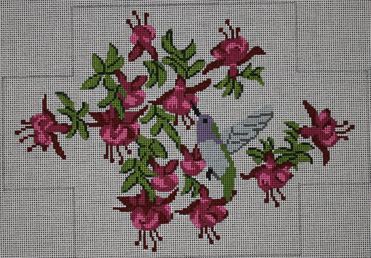 Hummingbird BRK223