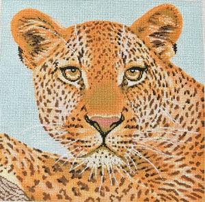 Leopard C-450o