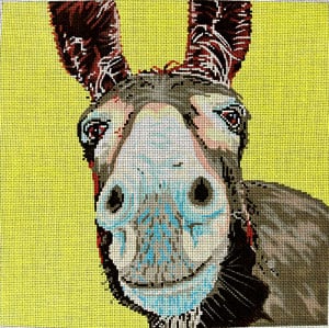 Donkey C-450v