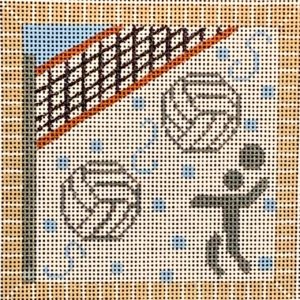 Volleyball Square CH-550