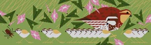Bobwhite Family CHB070