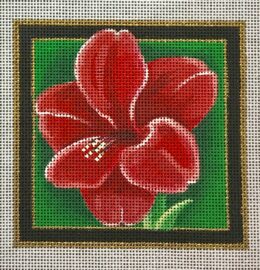 Christmas Coaster, Amaryllis  CS09