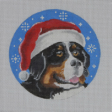 Bernese Santa  DG14