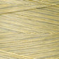 Weeks Dye Works Hand Dyed Cotton Floss 1000 -1199